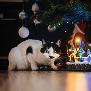 Holiday Treats and Toxins: Keeping Your Pets Safe During the Festive Season