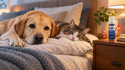 Minoxidil Toxicity in Dogs and Cats: A Common Hair-Loss Medication That Can Be Deadly to Pets