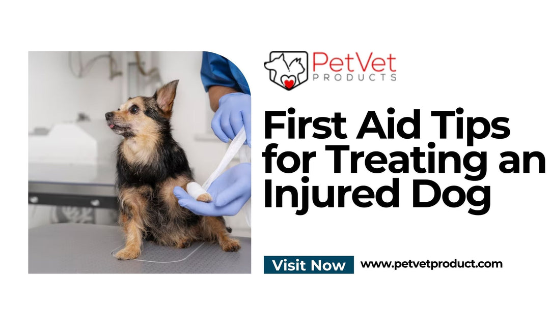 First Aid Tips for Treating an Injured Dog – Pet Vet Products