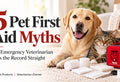 5 Pet First Aid Myths an Emergency Veterinarian Wants You to Stop Believing
