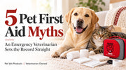 5 Pet First Aid Myths an Emergency Veterinarian Wants You to Stop Believing