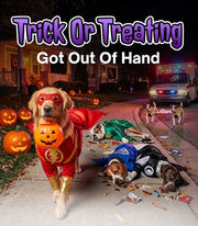My Dog Ate Halloween Candy! What Should I Do?