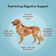 Pet Vet Activated Charcoal Gel for Dogs & Cats (60 mL) – Veterinary-Formulated, Natural Beef Flavor, Fast Toxin Adsorption for Poisoning, Stomach Upset, Diarrhea & Gas Relief – Made in USA at FDA-Registered Facility