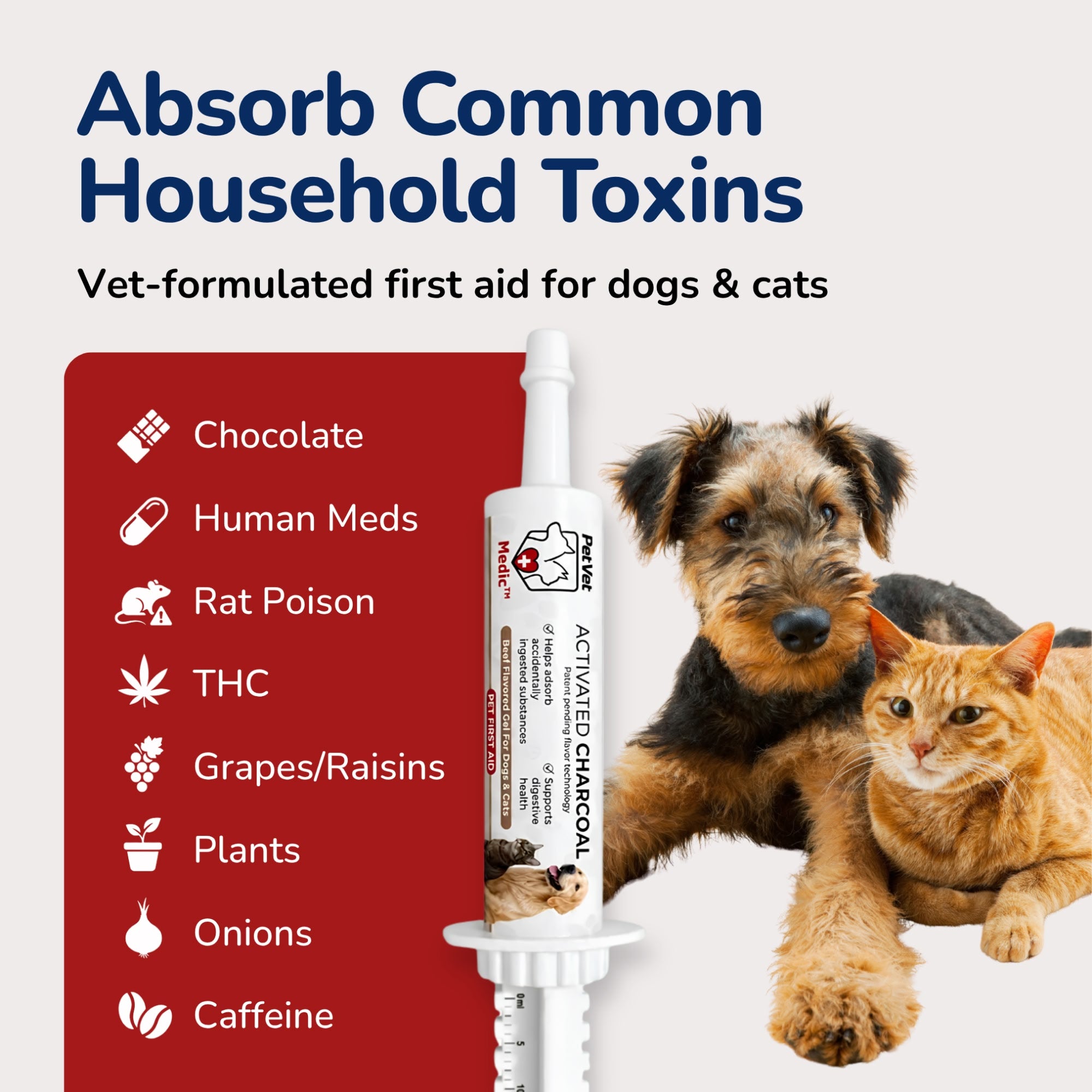 Activated Charcoal Syringe for Dogs & Cats | Pet Vet – Pet Vet