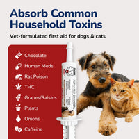 A dog and cat sit beside a tube of vet-formulated activated charcoal pet first aid used to absorb common household toxins.