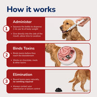An instructional infographic titled "How it works" explains how to administer activated charcoal to a dog to bind toxins and eliminate them naturally.