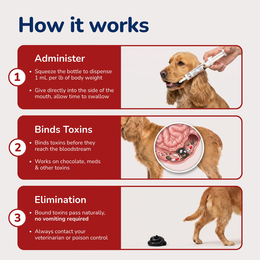 An instructional infographic titled "How it works" explains how to administer activated charcoal to a dog to bind toxins and eliminate them naturally.