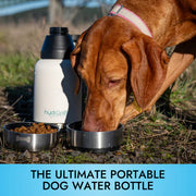 Pet Travel & Adventure Bundle — Small First Aid Kit + Pet First Aid Guide + HydroPet Water Bottle