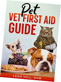Guide Book