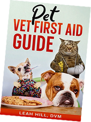 Pet First Aid Kit – Veterinarian-Curated Emergency Supplies & Guide
