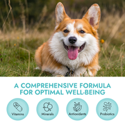 Pet Vet Multi Soft Chews for Dogs (Beef Liver, 60 Chews) – Multivitamins for Dogs, Probiotics for Digestive Health – Glucosamine for Dogs, Skin Supplement – Immune Support, Dog Supplements & Vitamins