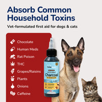 Pet Vet Activated Charcoal Gel for Dogs & Cats (60 mL) – Veterinary-Formulated, Natural Beef Flavor, Fast Toxin Adsorption for Poisoning, Stomach Upset, Diarrhea & Gas Relief – Made in USA