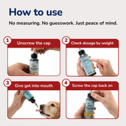 Dev Test Pet Vet Activated Charcoal Gel for Dogs & Cats (60 mL) – Veterinary-Formulated, Natural Beef Flavor, Fast Toxin Adsorption for Poisoning, Stomach Upset, Diarrhea & Gas Relief – Made in USA
