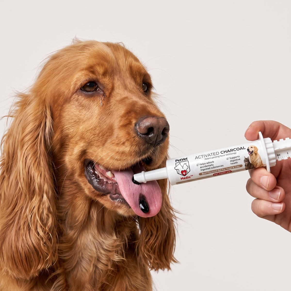 Dog receiving activated charcoal
